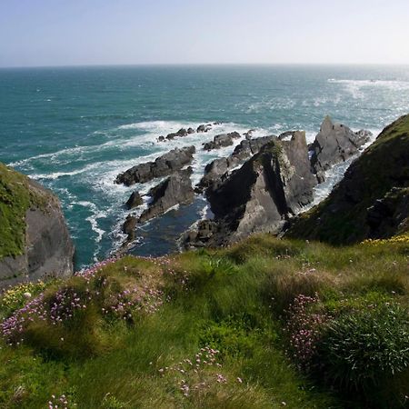 Galley Head Lightkeeper'S Houses Donoure Zewnętrze zdjęcie